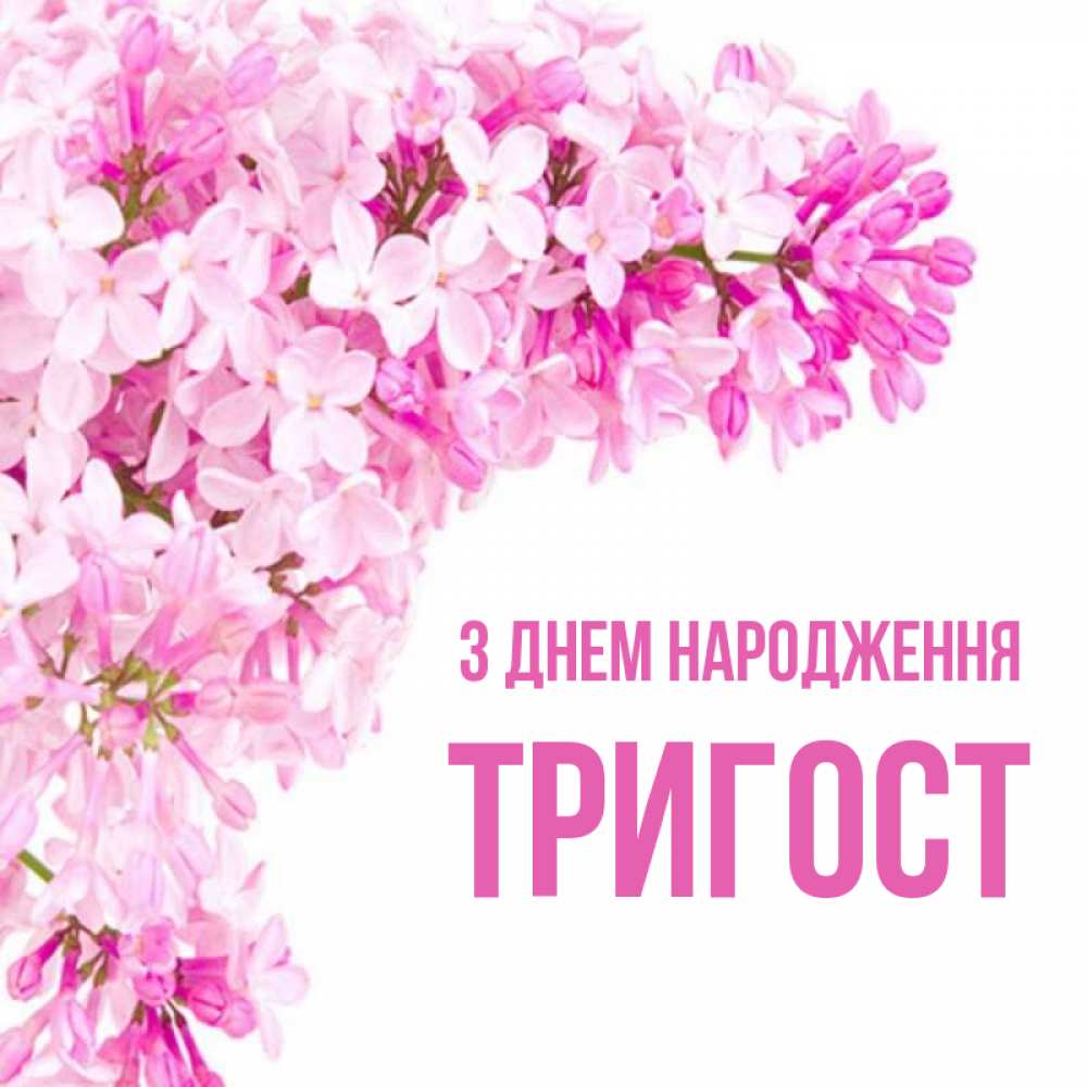 Открытка на каждый день з підписом, Тригост З Днем народження Сирень на белом фоне Прикольна листівка з побажанням онлайн скачати безкоштовно 