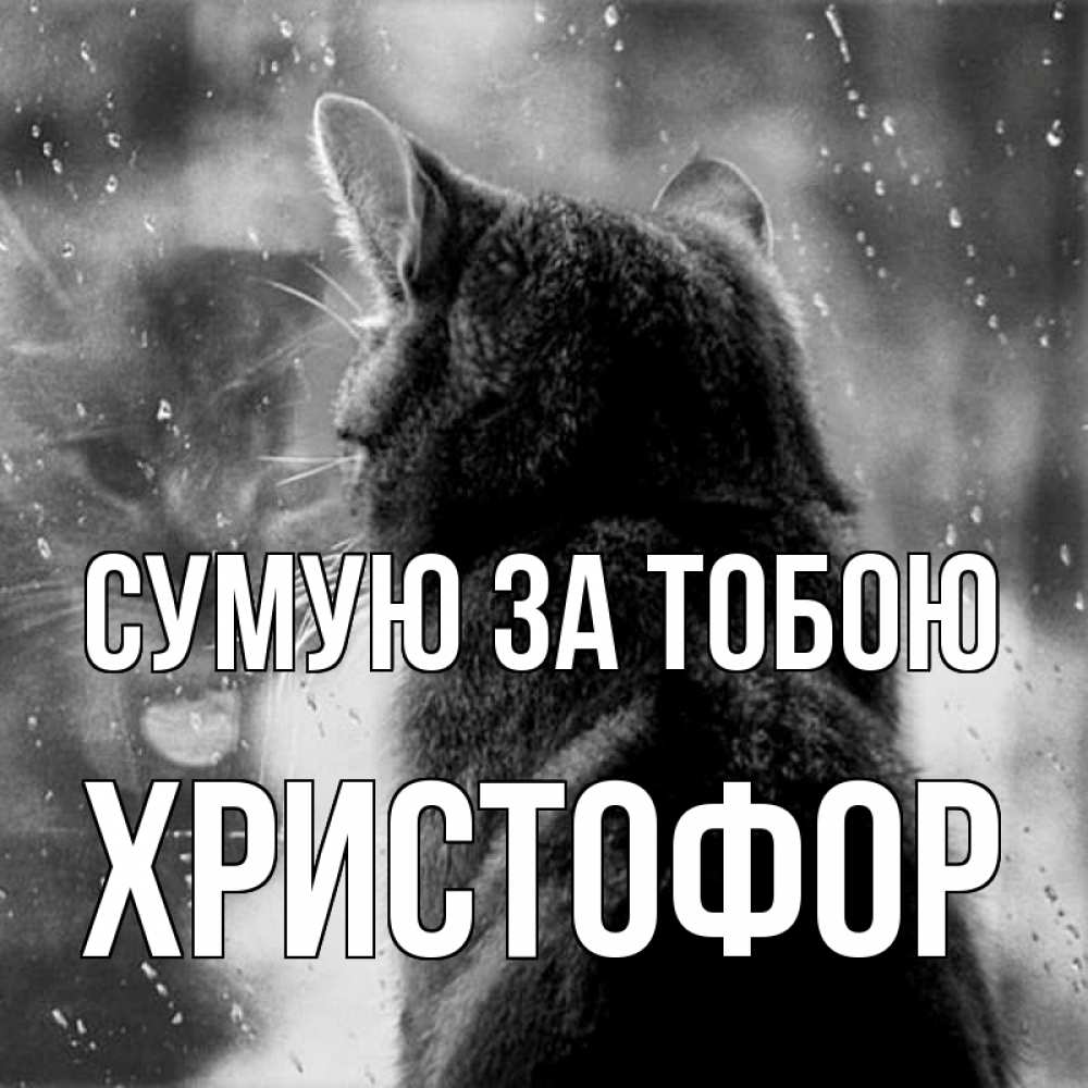 Открытка на каждый день з підписом, Христофор Сумую за тобою скорее ко мне приходи 1 Прикольна листівка з побажанням онлайн скачати безкоштовно 