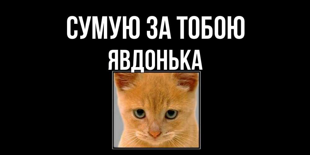 Открытка на каждый день з підписом, Явдонька Сумую за тобою открытки рыжий котенок скучает по тебе Прикольна листівка з побажанням онлайн скачати безкоштовно 