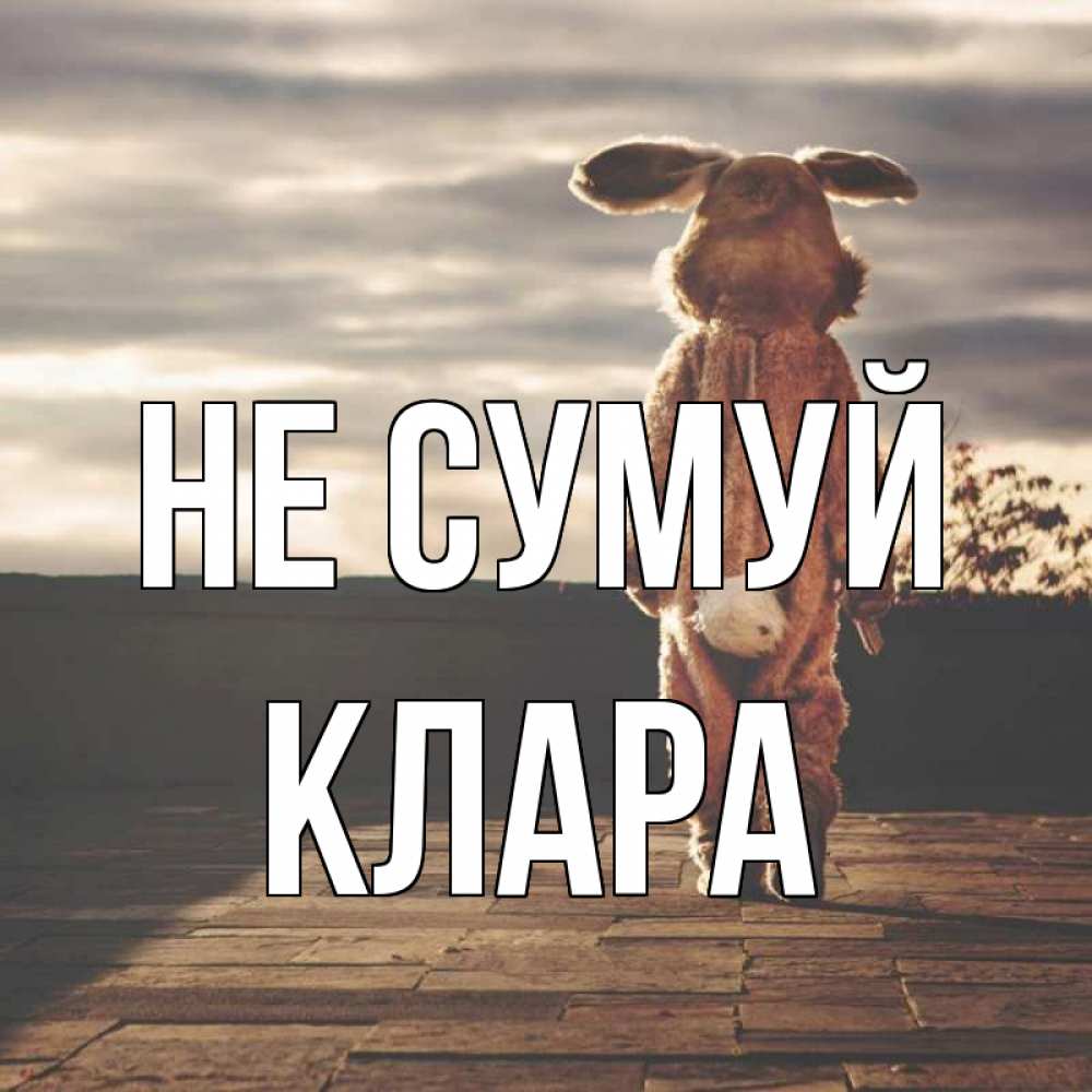 Открытка на каждый день з підписом, Клара Не сумуй со спины Прикольна листівка з побажанням онлайн скачати безкоштовно 