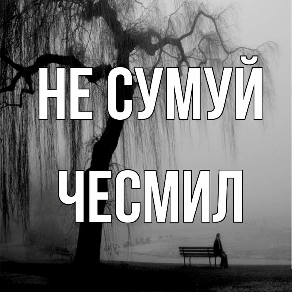 Открытка на каждый день з підписом, Чесмил Не сумуй висящие ветки дерева и лавочка под деревом Прикольна листівка з побажанням онлайн скачати безкоштовно 