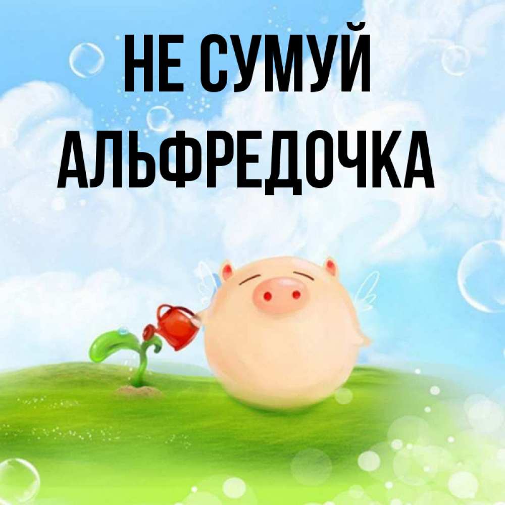 Открытка на каждый день з підписом, Альфредочка Не сумуй поливает цветок порося Прикольна листівка з побажанням онлайн скачати безкоштовно 