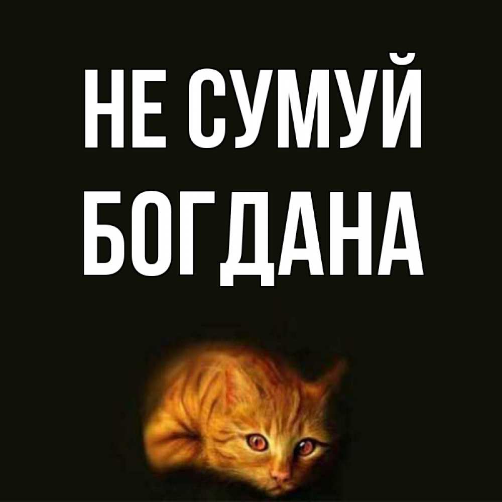 Открытка на каждый день з підписом, Богдана Не сумуй лежащий кот в темноте Прикольна листівка з побажанням онлайн скачати безкоштовно 