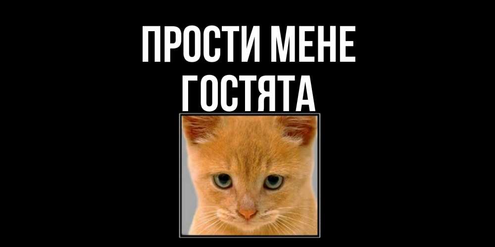 Открытка на каждый день з підписом, Гостята Прости мене рыжий грустный кот просит прощения Прикольна листівка з побажанням онлайн скачати безкоштовно 