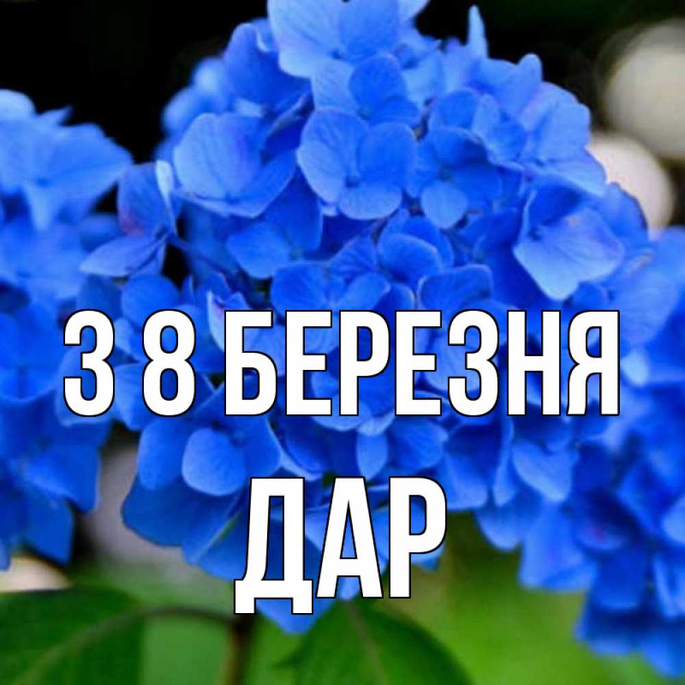 Открытка на каждый день з підписом, Дар З 8 БЕРЕЗНЯ синие цветы Прикольна листівка з побажанням онлайн скачати безкоштовно 