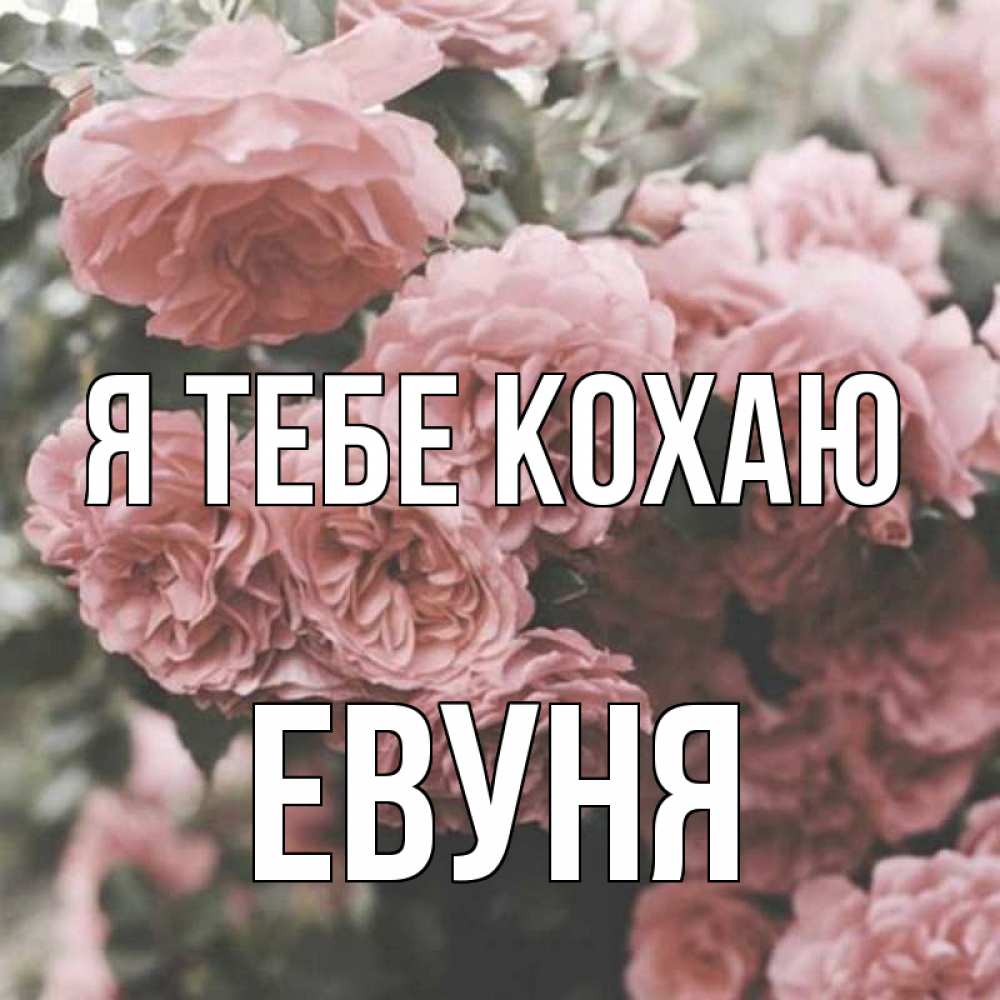 Открытка на каждый день з підписом, Евуня Я тебе кохаю розы 3 Прикольна листівка з побажанням онлайн скачати безкоштовно 