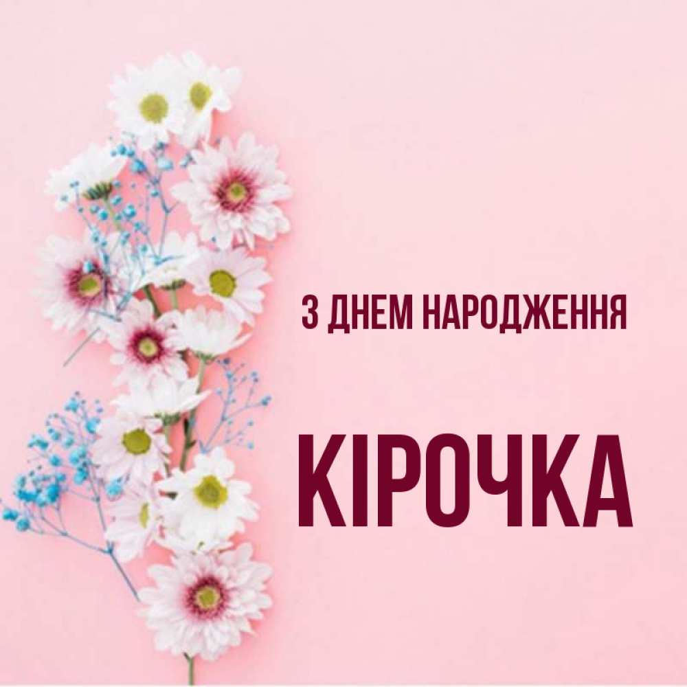 Открытка на каждый день з підписом, Кірочка З Днем народження Родная моя с днем рождения тебя картинка с цветами белыми и голубыми Прикольна листівка з побажанням онлайн скачати безкоштовно 