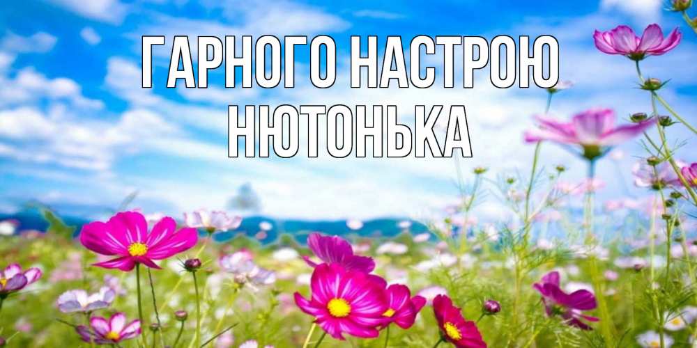 Открытка на каждый день з підписом, Нютонька Гарного настрою поле цветов Прикольна листівка з побажанням онлайн скачати безкоштовно 
