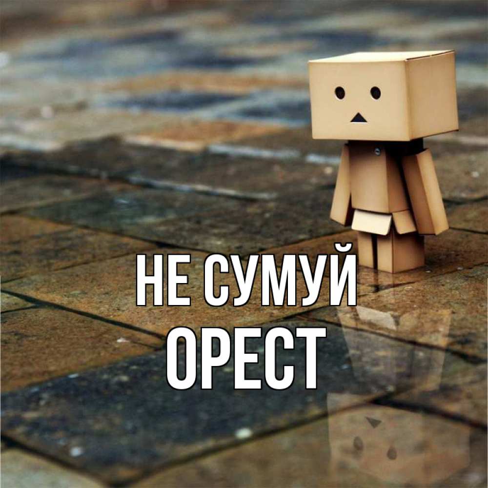 Открытка на каждый день з підписом, Орест Не сумуй Стив Прикольна листівка з побажанням онлайн скачати безкоштовно 