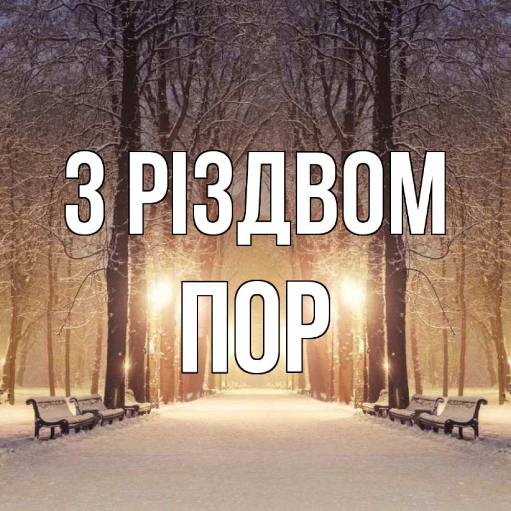 Открытка на каждый день з підписом, Пор З Різдвом зима, парк, фонарь, лес Прикольна листівка з побажанням онлайн скачати безкоштовно 