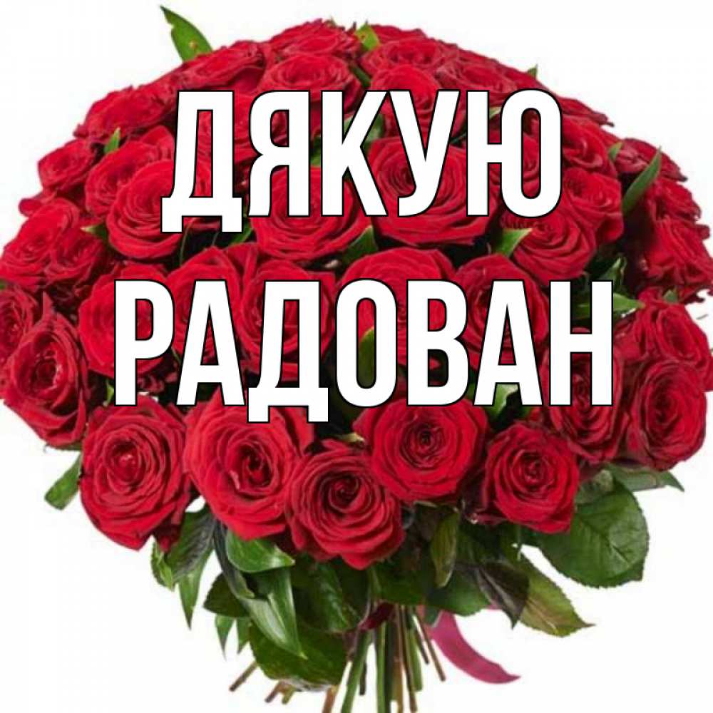 Открытка на каждый день з підписом, Радован Дякую букет красных роз Прикольна листівка з побажанням онлайн скачати безкоштовно 