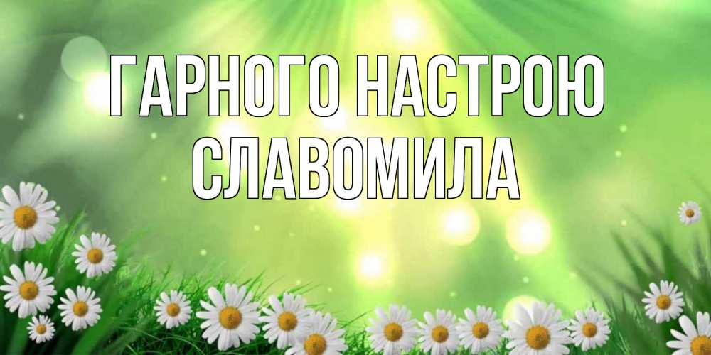 Открытка на каждый день з підписом, Славомила Гарного настрою открытка с ромашками и солнечными лучами Прикольна листівка з побажанням онлайн скачати безкоштовно 