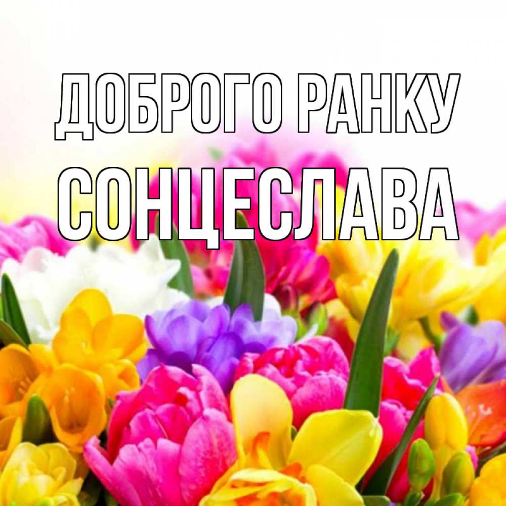Открытка на каждый день з підписом, Сонцеслава Доброго ранку создать открытку со свое подписью Прикольна листівка з побажанням онлайн скачати безкоштовно 