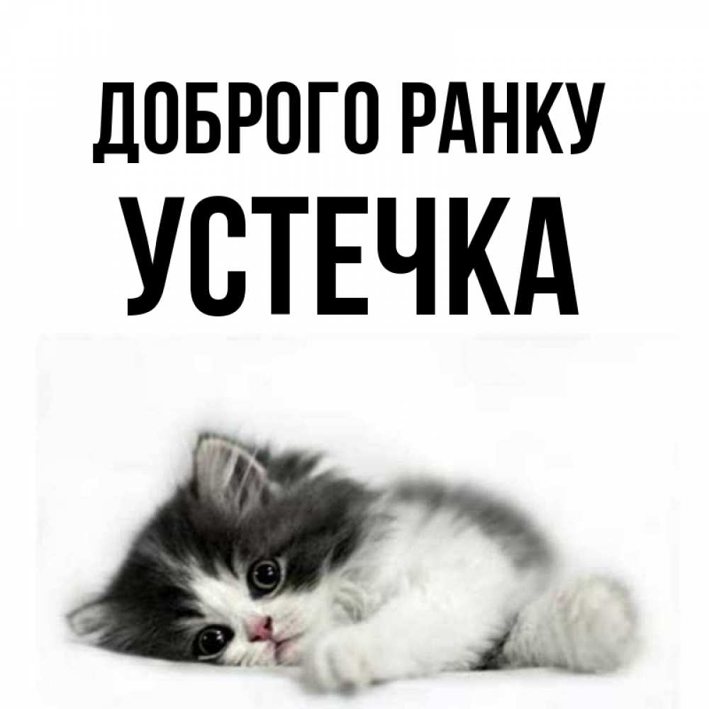 Открытка на каждый день з підписом, Устечка Доброго ранку кот лапки Прикольна листівка з побажанням онлайн скачати безкоштовно 