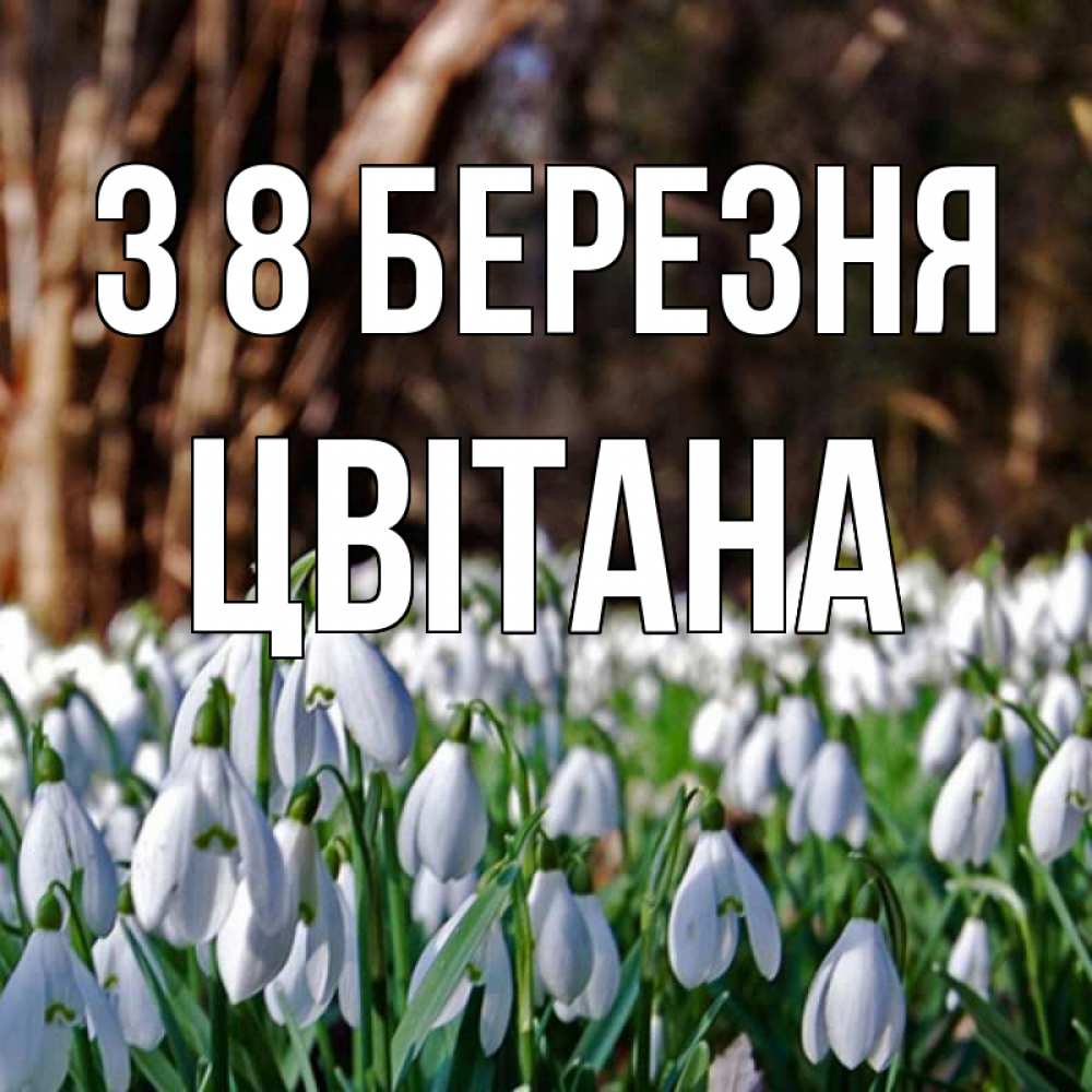 Открытка на каждый день з підписом, Цвітана З 8 БЕРЕЗНЯ с подснежниками 1 Прикольна листівка з побажанням онлайн скачати безкоштовно 