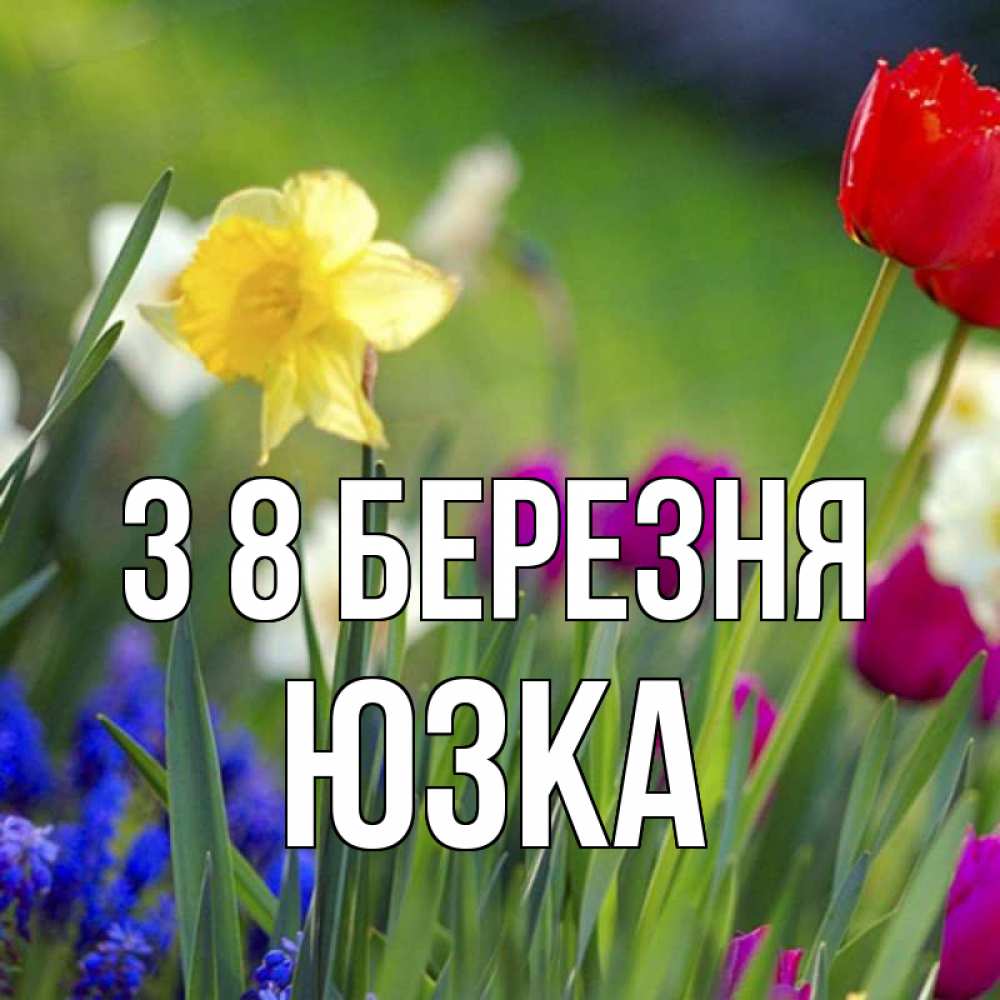 Открытка на каждый день з підписом, Юзка З 8 БЕРЕЗНЯ международный женский день 3 Прикольна листівка з побажанням онлайн скачати безкоштовно 