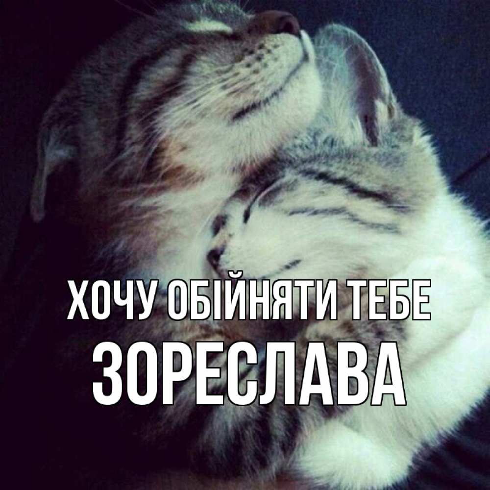 Открытка на каждый день з підписом, Зореслава Хочу обійняти тебе полосатики Прикольна листівка з побажанням онлайн скачати безкоштовно 