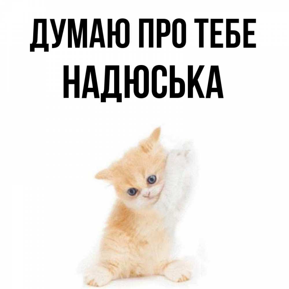 Открытка на каждый день з підписом, Надюська Думаю про тебе зверушки и милота Прикольна листівка з побажанням онлайн скачати безкоштовно 