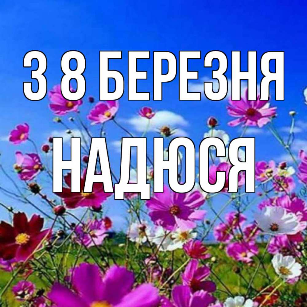 Открытка на каждый день з підписом, Надюся З 8 БЕРЕЗНЯ цветы Прикольна листівка з побажанням онлайн скачати безкоштовно 