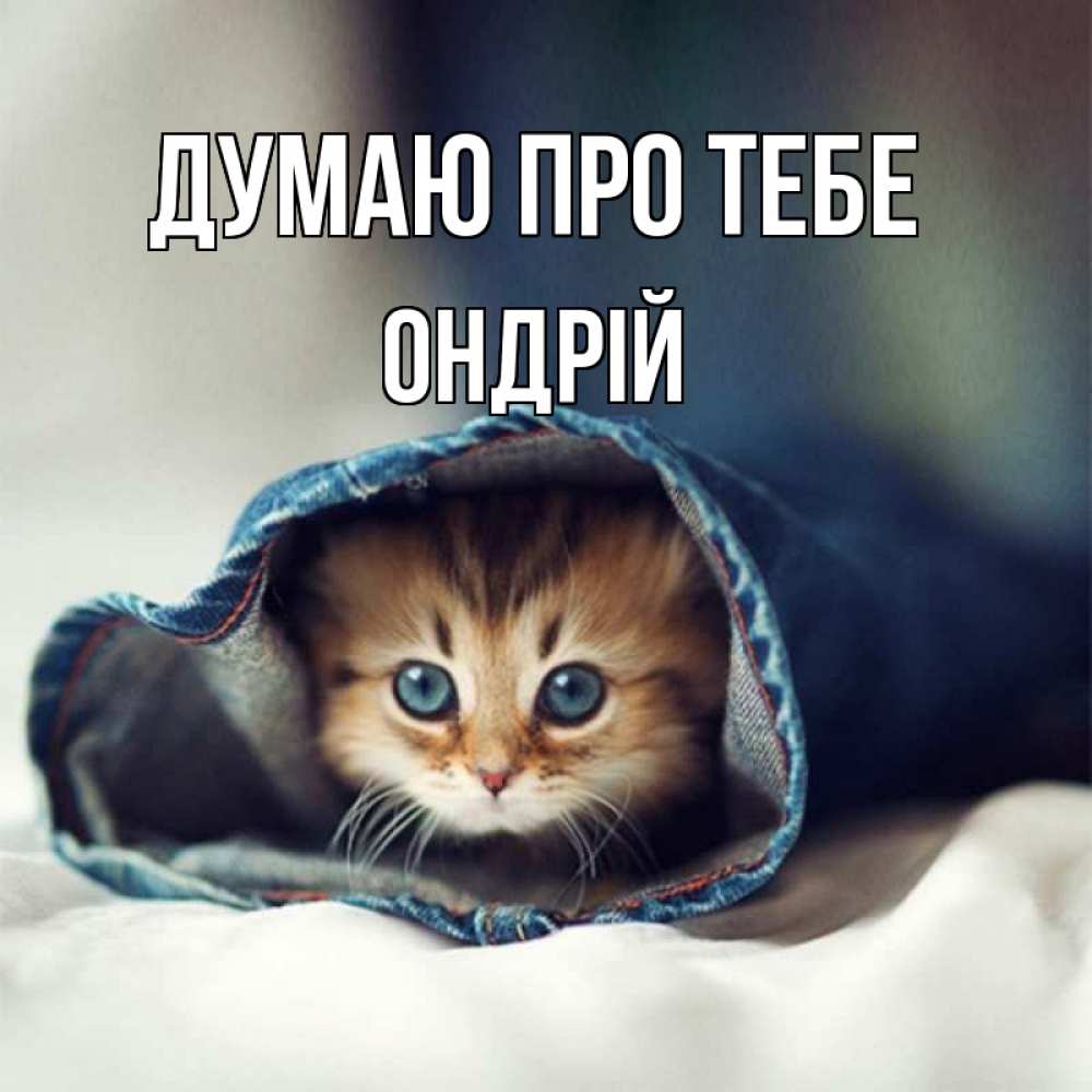 Открытка на каждый день з підписом, Ондрій Думаю про тебе мне без тебя плохо Прикольна листівка з побажанням онлайн скачати безкоштовно 