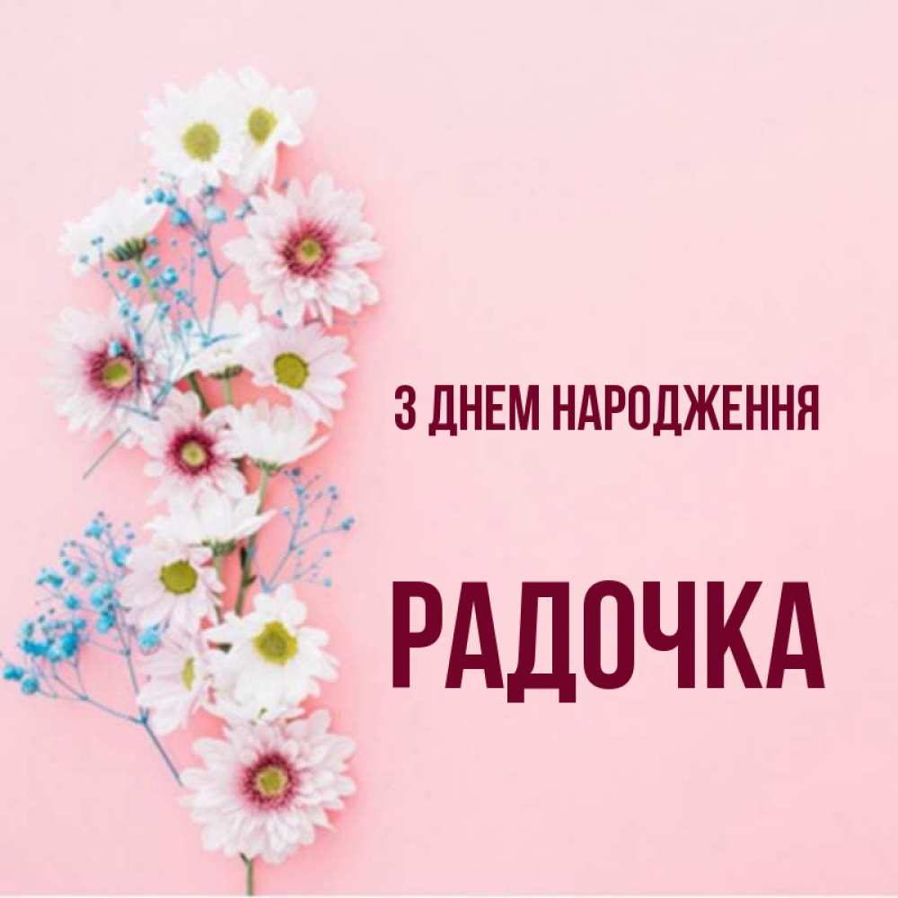 Открытка на каждый день з підписом, Радочка З Днем народження Родная моя с днем рождения тебя картинка с цветами белыми и голубыми Прикольна листівка з побажанням онлайн скачати безкоштовно 