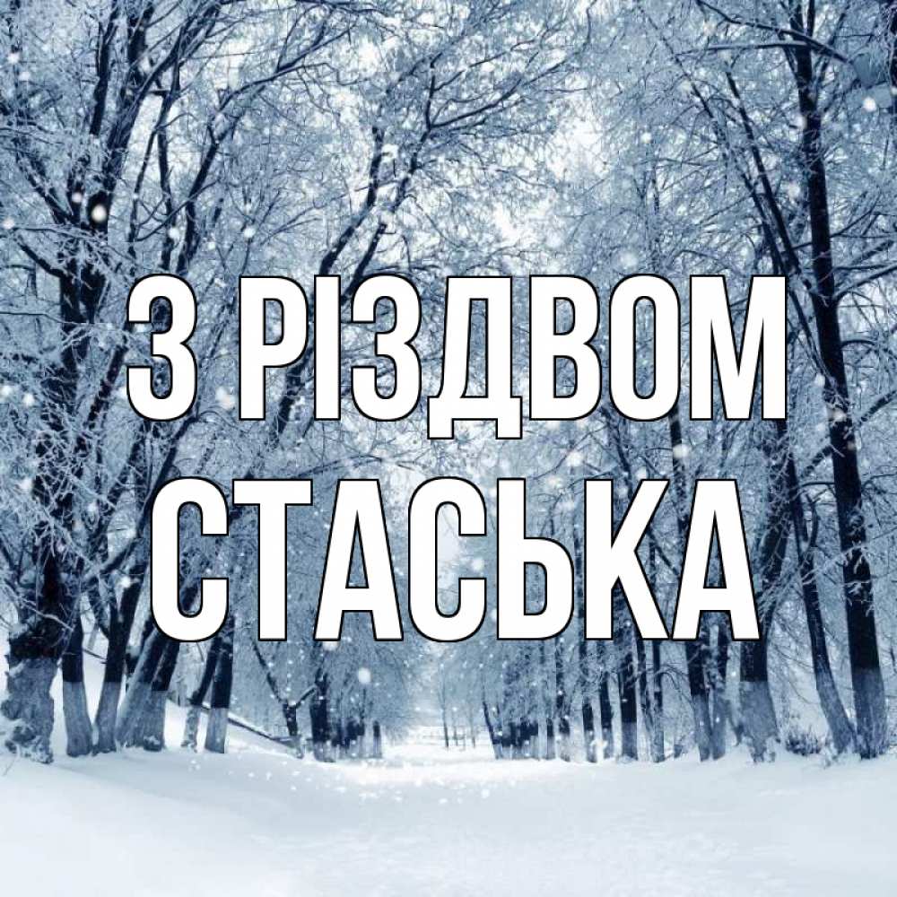 Открытка на каждый день з підписом, Стаська З Різдвом снег, лес, парк Прикольна листівка з побажанням онлайн скачати безкоштовно 