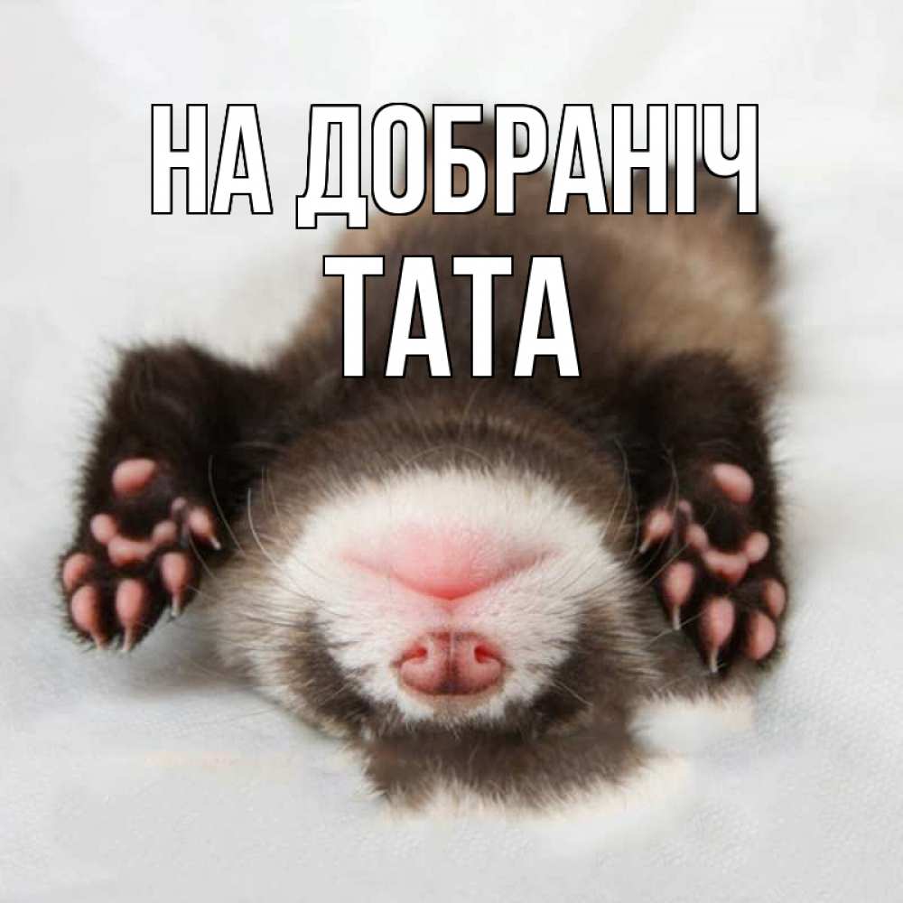 Открытка на каждый день з підписом, Тата На добраніч зверек Прикольна листівка з побажанням онлайн скачати безкоштовно 