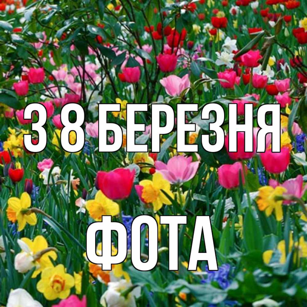 Открытка на каждый день з підписом, Фота З 8 БЕРЕЗНЯ с международным женским днем поздравления для женщины Прикольна листівка з побажанням онлайн скачати безкоштовно 