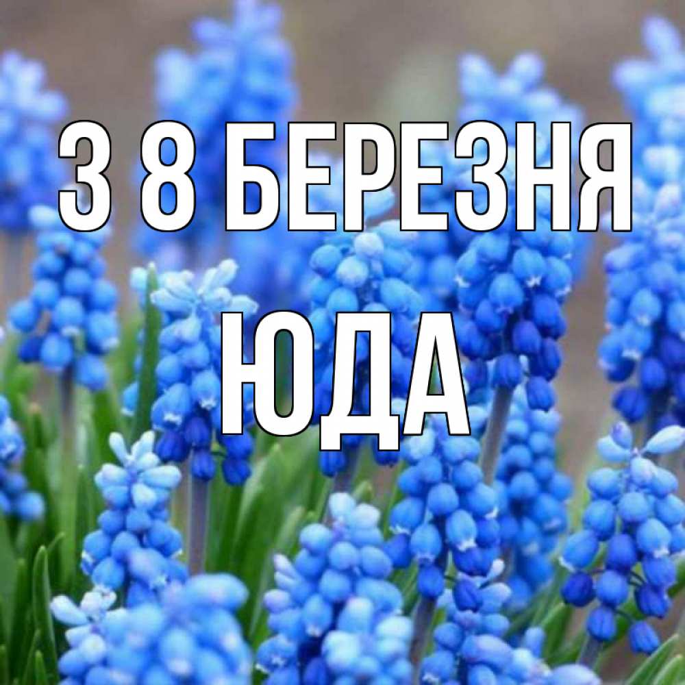 Открытка на каждый день з підписом, Юда З 8 БЕРЕЗНЯ Поздравительная открытка для женщин с цветами на праздничную дату Прикольна листівка з побажанням онлайн скачати безкоштовно 