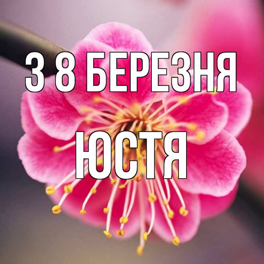 Открытка на каждый день з підписом, Юстя З 8 БЕРЕЗНЯ цветы Прикольна листівка з побажанням онлайн скачати безкоштовно 