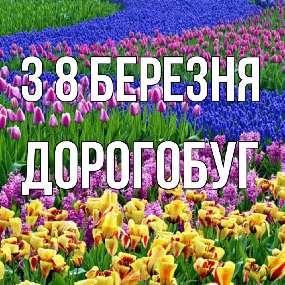 Открытка на каждый день з підписом, Дорогобуг З 8 БЕРЕЗНЯ цветы Прикольна листівка з побажанням онлайн скачати безкоштовно 