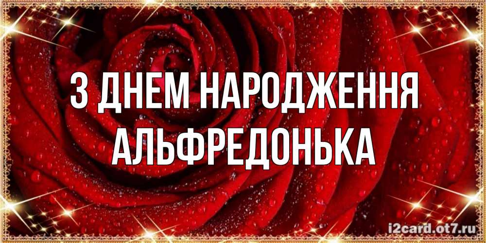Открытка на каждый день з підписом, Альфредонька З Днем народження роса на розе блестящая в лучах солнца Прикольна листівка з побажанням онлайн скачати безкоштовно 