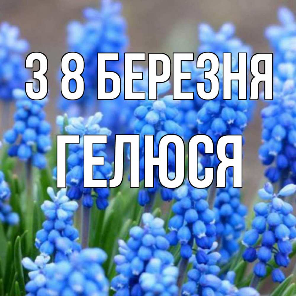 Открытка на каждый день з підписом, Гелюся З 8 БЕРЕЗНЯ Поздравительная открытка для женщин с цветами на праздничную дату Прикольна листівка з побажанням онлайн скачати безкоштовно 