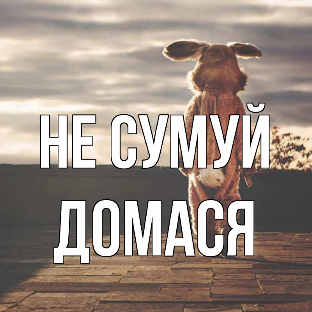 Открытка на каждый день з підписом, Домася Не сумуй со спины Прикольна листівка з побажанням онлайн скачати безкоштовно 