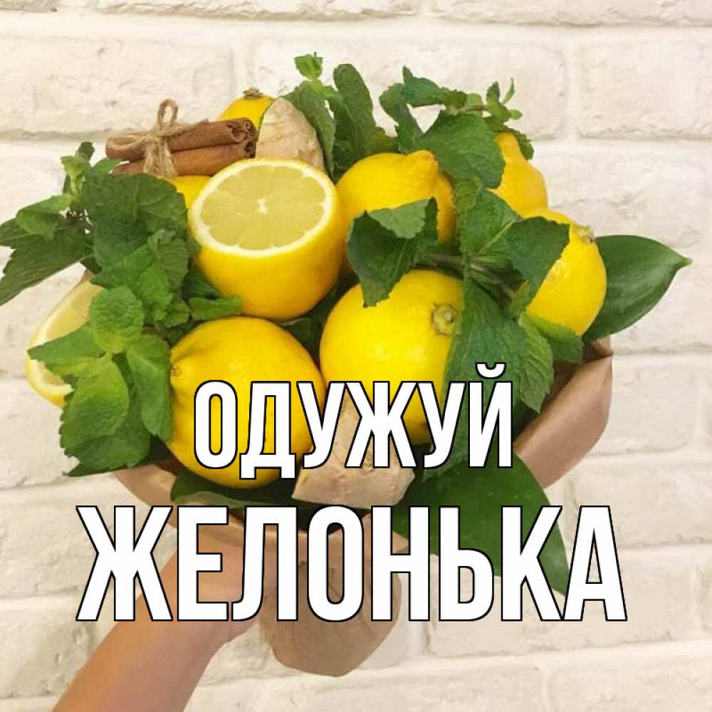 Открытка на каждый день з підписом, Желонька Одужуй витамины Прикольна листівка з побажанням онлайн скачати безкоштовно 