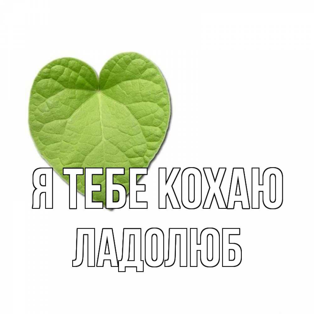 Открытка на каждый день з підписом, Ладолюб Я тебе кохаю тебе Прикольна листівка з побажанням онлайн скачати безкоштовно 