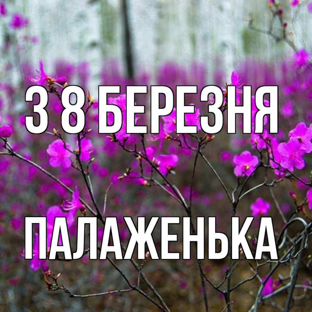 Открытка на каждый день з підписом, Палаженька З 8 БЕРЕЗНЯ дикие цветы Прикольна листівка з побажанням онлайн скачати безкоштовно 