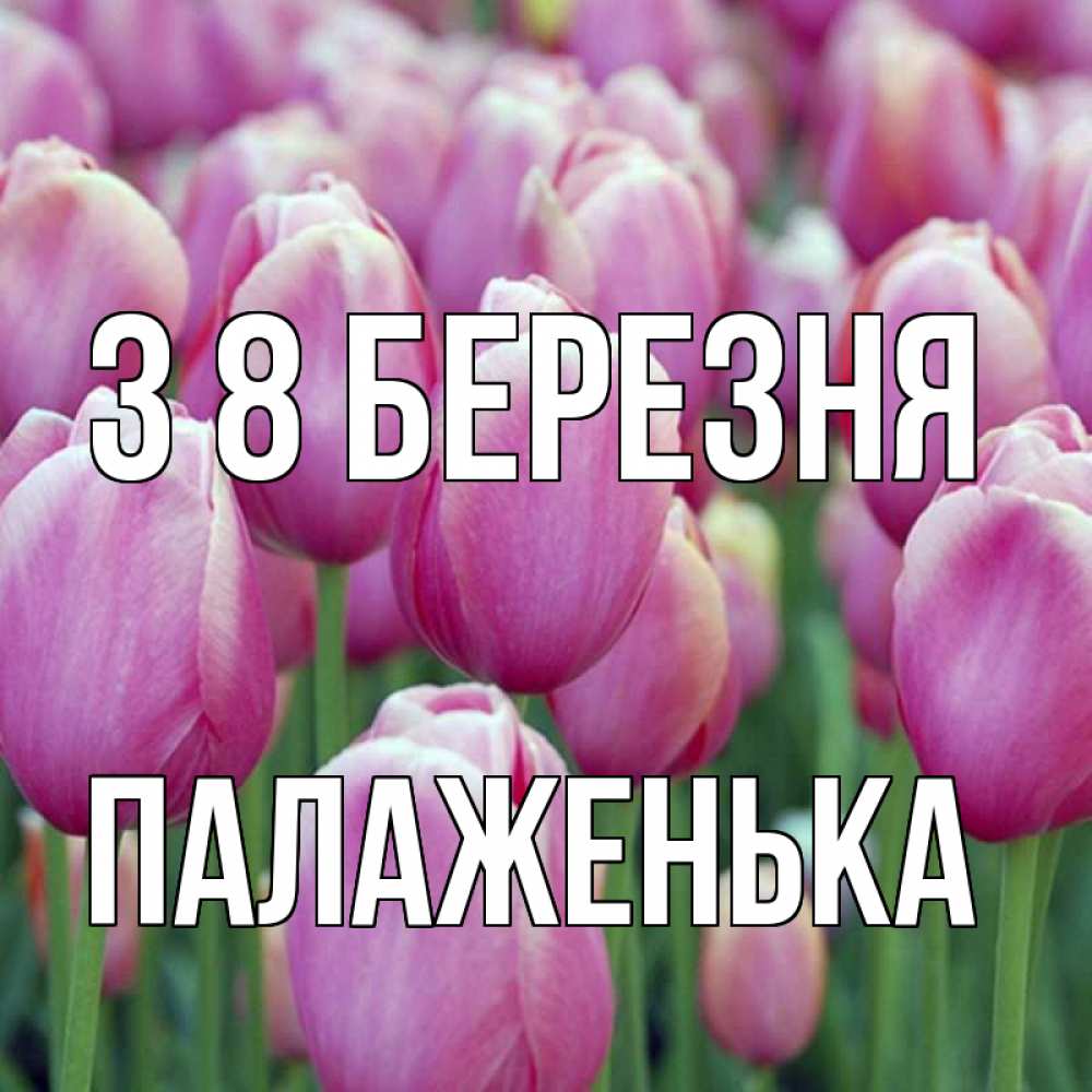 Открытка на каждый день з підписом, Палаженька З 8 БЕРЕЗНЯ на международный женский день 3 Прикольна листівка з побажанням онлайн скачати безкоштовно 
