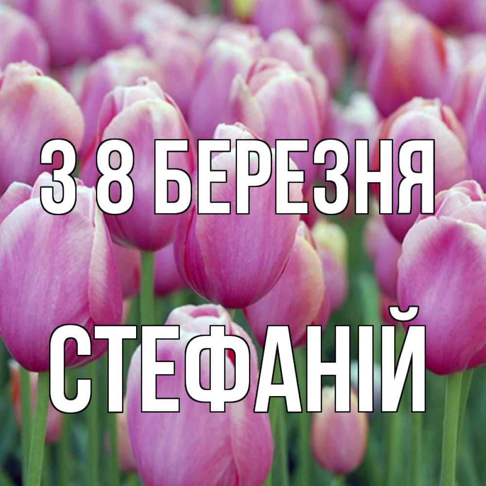 Открытка на каждый день з підписом, Стефаній З 8 БЕРЕЗНЯ на международный женский день 3 Прикольна листівка з побажанням онлайн скачати безкоштовно 