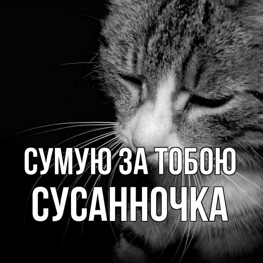 Открытка на каждый день з підписом, Сусанночка Сумую за тобою мне скучно Прикольна листівка з побажанням онлайн скачати безкоштовно 
