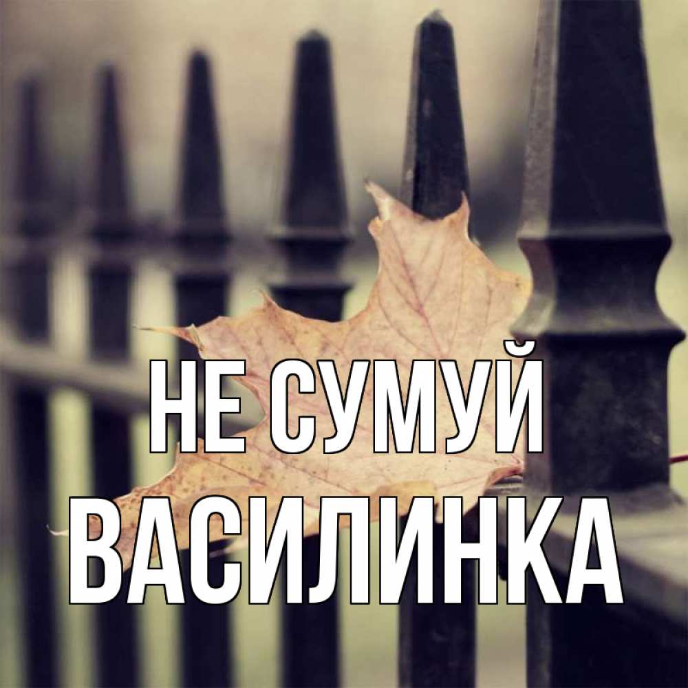 Открытка на каждый день з підписом, Василинка Не сумуй лист клена Прикольна листівка з побажанням онлайн скачати безкоштовно 