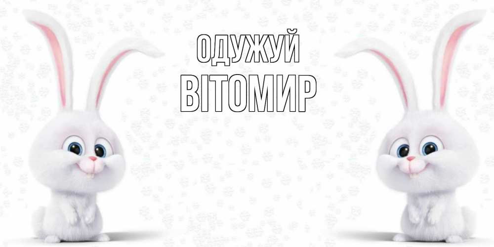 Открытка на каждый день з підписом, Вітомир Одужуй не болей с зайцем Прикольна листівка з побажанням онлайн скачати безкоштовно 