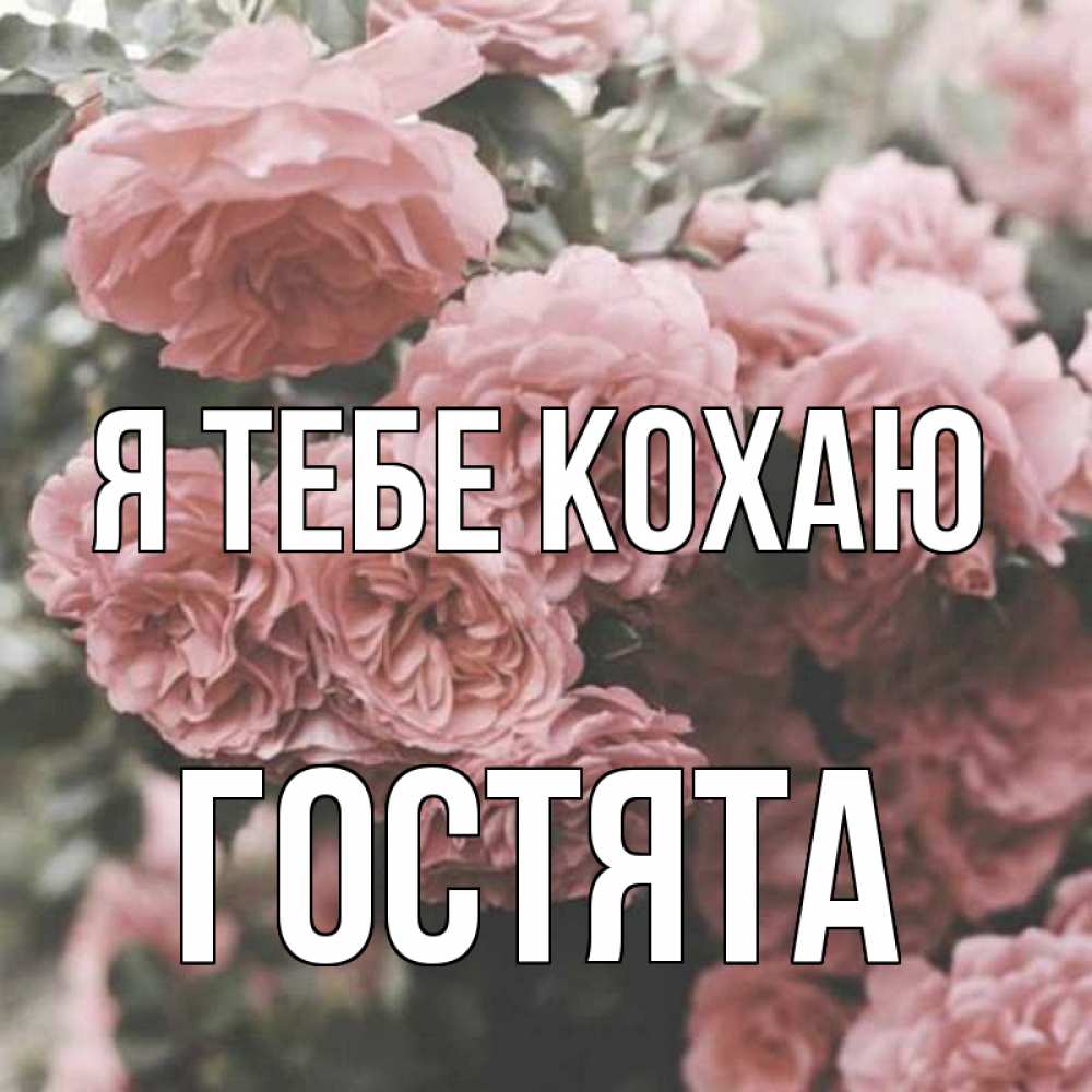 Открытка на каждый день з підписом, Гостята Я тебе кохаю розы 3 Прикольна листівка з побажанням онлайн скачати безкоштовно 