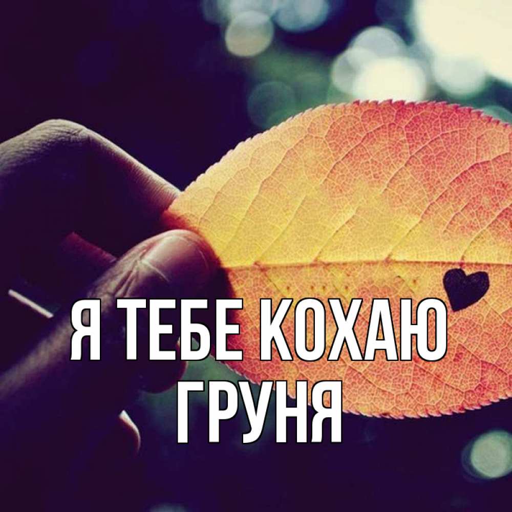 Открытка на каждый день з підписом, Груня Я тебе кохаю держу лист Прикольна листівка з побажанням онлайн скачати безкоштовно 