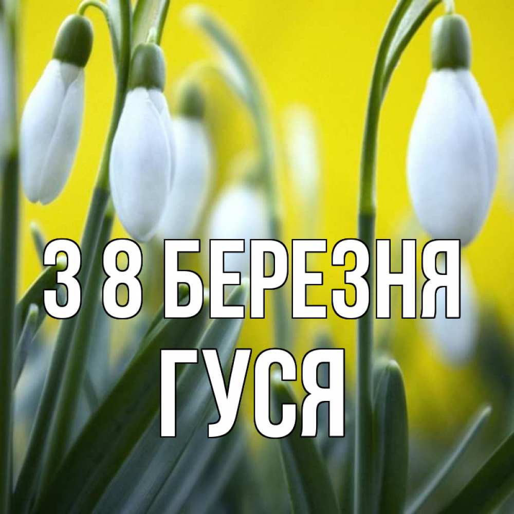 Открытка на каждый день з підписом, Гуся З 8 БЕРЕЗНЯ весенние цветы Прикольна листівка з побажанням онлайн скачати безкоштовно 