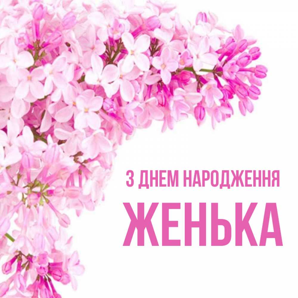 Открытка на каждый день з підписом, Женька З Днем народження Сирень на белом фоне Прикольна листівка з побажанням онлайн скачати безкоштовно 