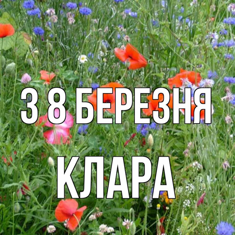 Открытка на каждый день з підписом, Клара З 8 БЕРЕЗНЯ международный женский день 4 Прикольна листівка з побажанням онлайн скачати безкоштовно 