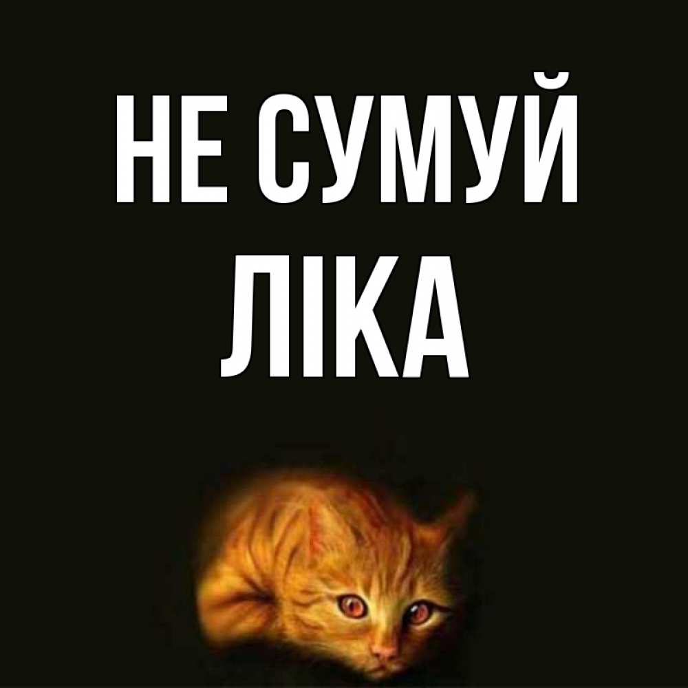 Открытка на каждый день з підписом, Ліка Не сумуй лежащий кот в темноте Прикольна листівка з побажанням онлайн скачати безкоштовно 