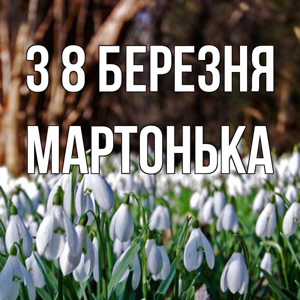 Открытка на каждый день з підписом, Мартонька З 8 БЕРЕЗНЯ с подснежниками 1 Прикольна листівка з побажанням онлайн скачати безкоштовно 