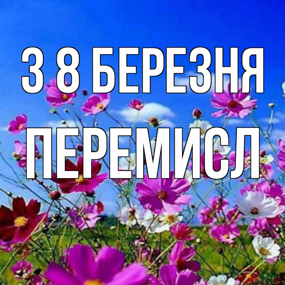 Открытка на каждый день з підписом, Перемисл З 8 БЕРЕЗНЯ цветы Прикольна листівка з побажанням онлайн скачати безкоштовно 